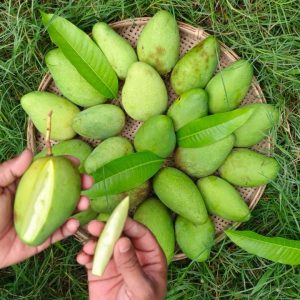 কাঁচা-মিস্টি আম (৩ কেজি)